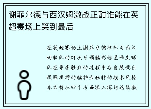 谢菲尔德与西汉姆激战正酣谁能在英超赛场上笑到最后