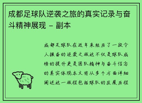 成都足球队逆袭之旅的真实记录与奋斗精神展现 - 副本