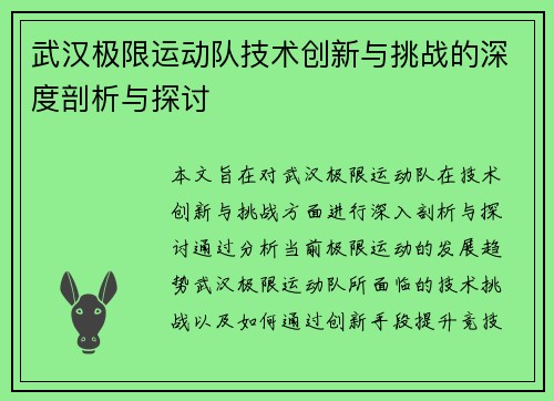 武汉极限运动队技术创新与挑战的深度剖析与探讨