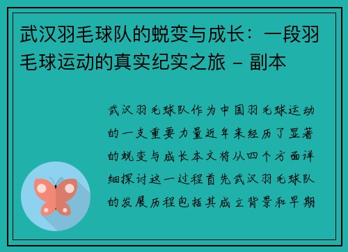 武汉羽毛球队的蜕变与成长：一段羽毛球运动的真实纪实之旅 - 副本