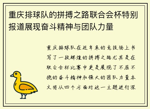 重庆排球队的拼搏之路联合会杯特别报道展现奋斗精神与团队力量