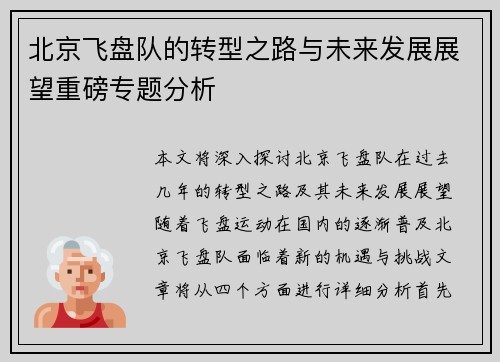 北京飞盘队的转型之路与未来发展展望重磅专题分析